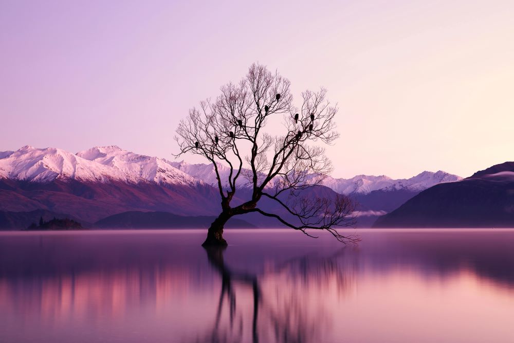 Baum steht im stillen Gewässer bei Sonnenuntergang mit Bergen im Hintergrund